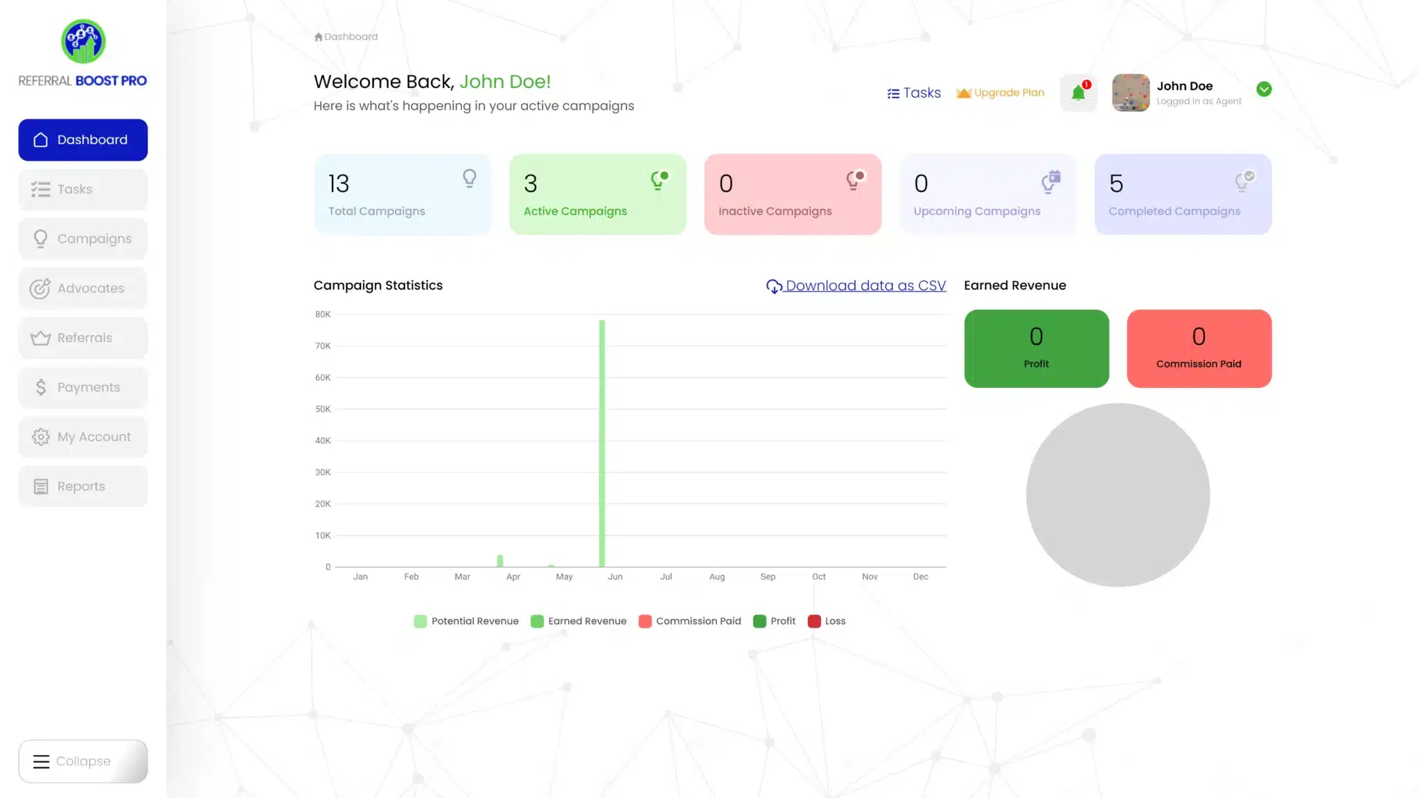 The image shows a user dashboard for "Referral Boost Pro" with statistics for campaigns, tasks, and earnings, including graphs and summary boxes.